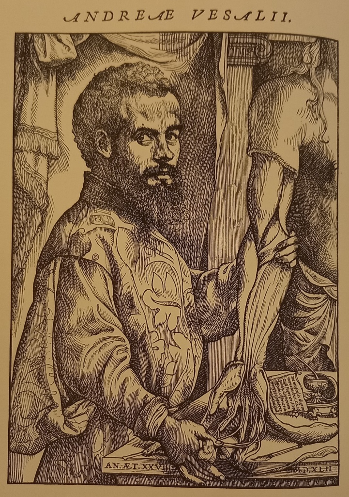 Portrait of Vesalius in the Fabrica
